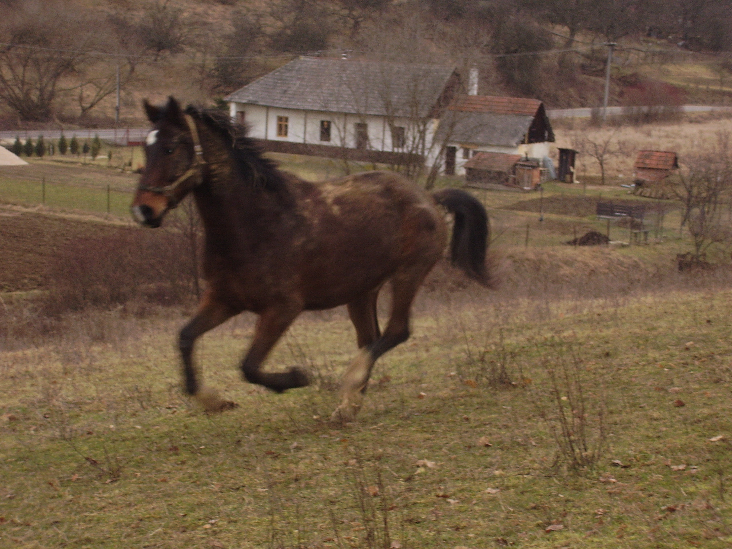 PB060292.JPG