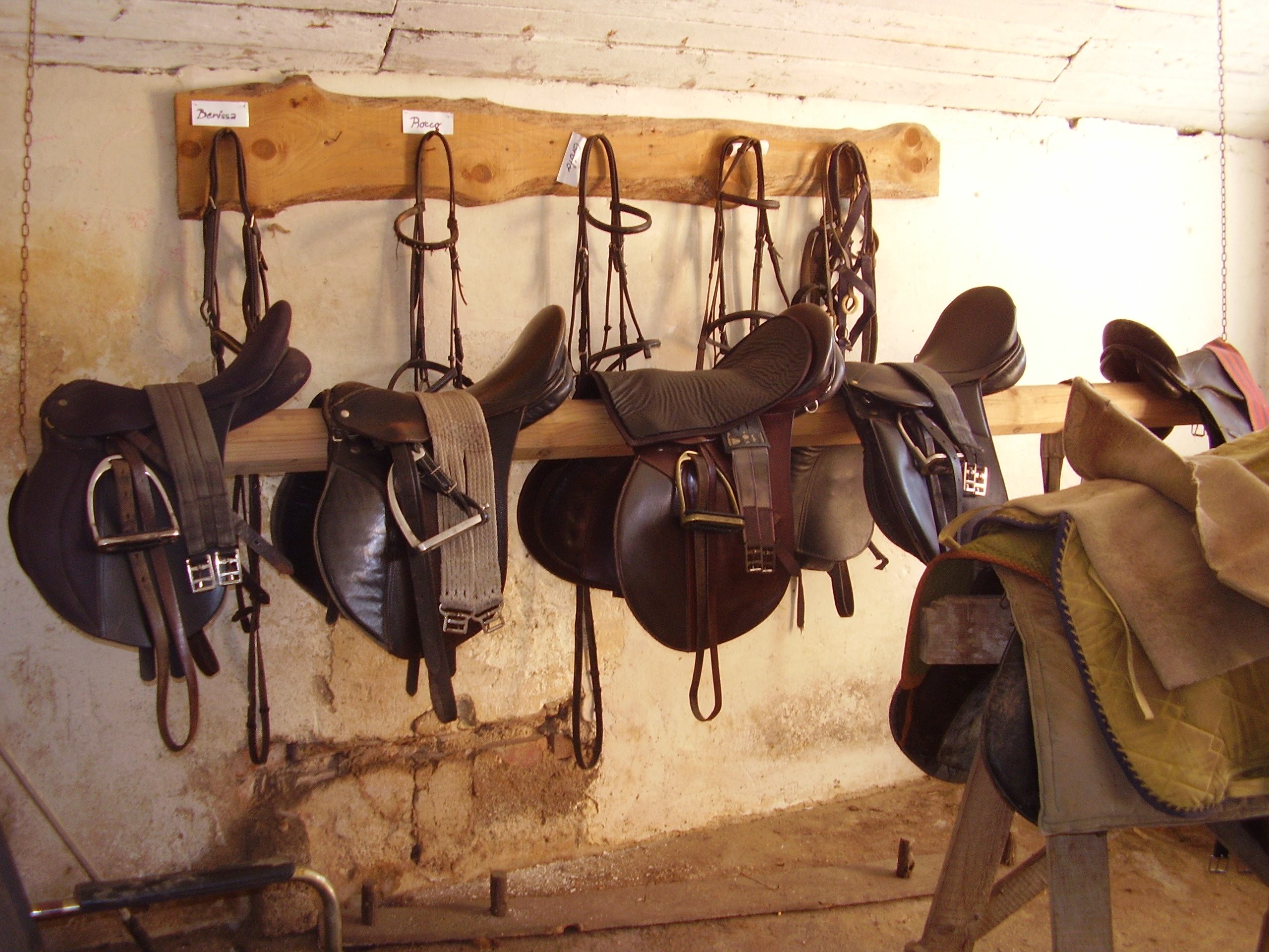 PA090206.JPG