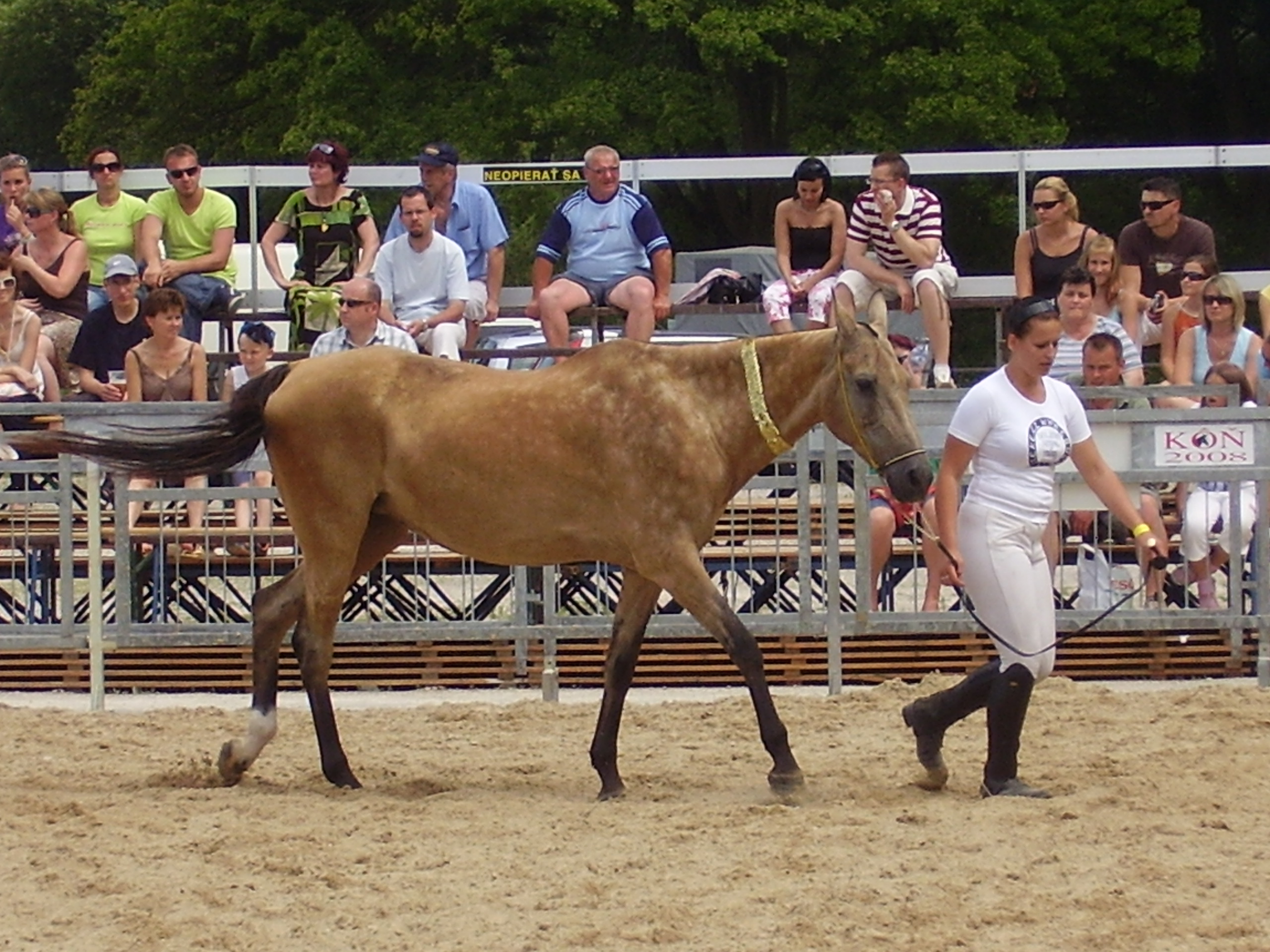 P5160182.JPG