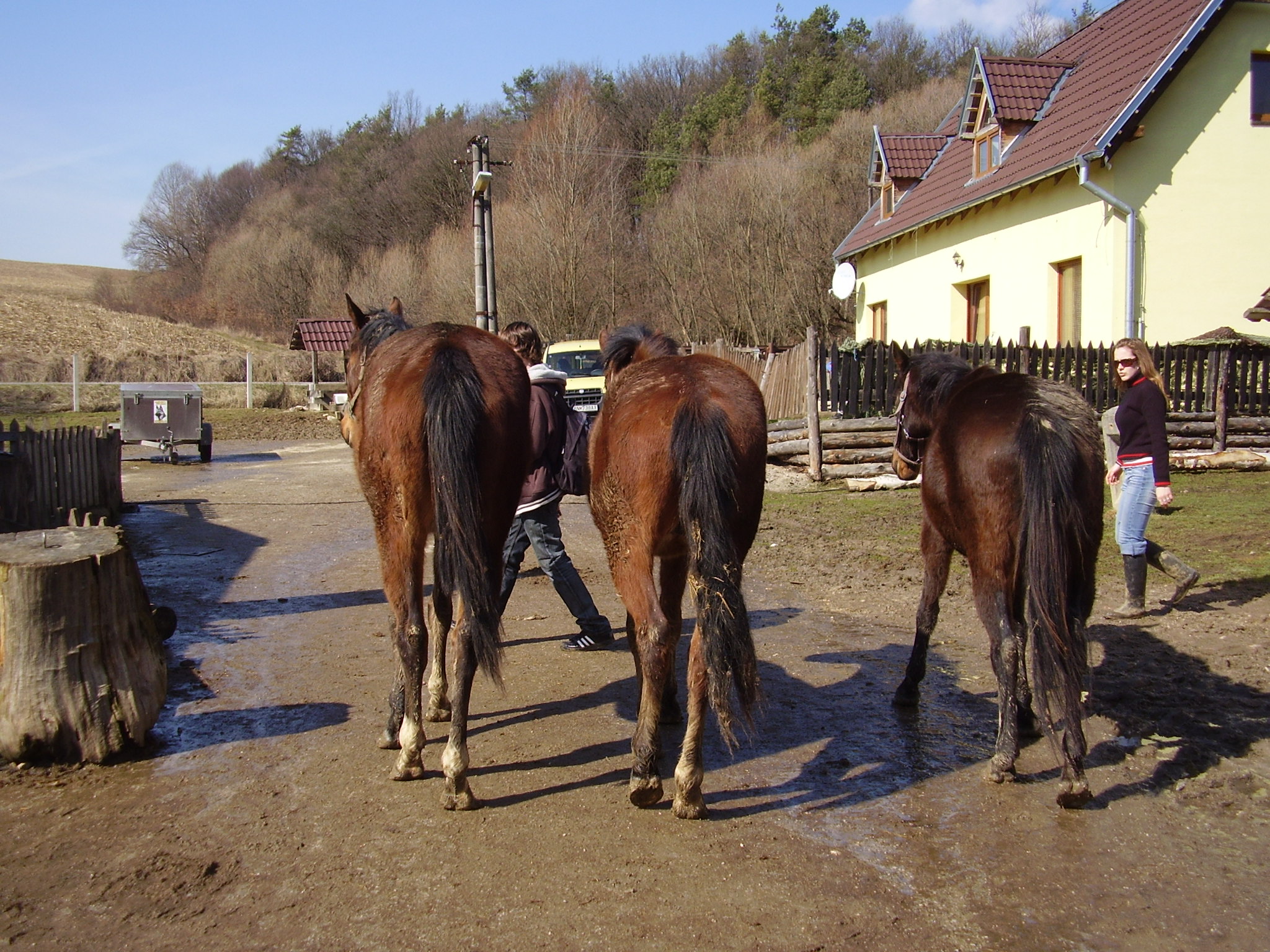 P3140144.JPG
